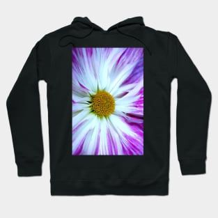 Pink and White Sunburst Hoodie